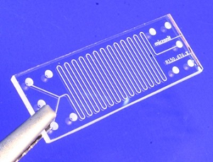 nano lab on a chip 1